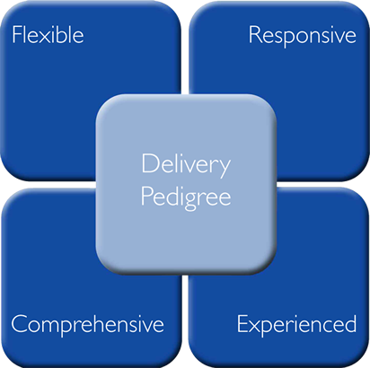 Image 4 squares with Flexible, Responsive, Comprehensive and Experienced written in each respectively. On top of which another square with Delivery 
				Pedigree written in it.